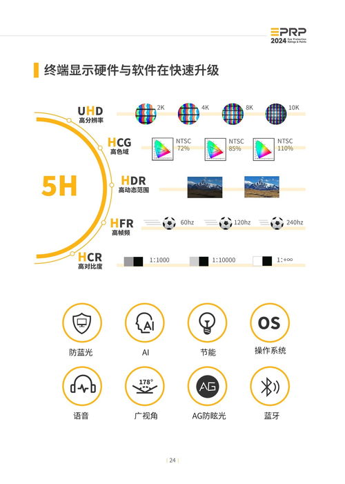 2024年度顯示設(shè)備護(hù)眼趨勢(shì)與計(jì)算機(jī)軟硬件技術(shù)開(kāi)發(fā)融合報(bào)告